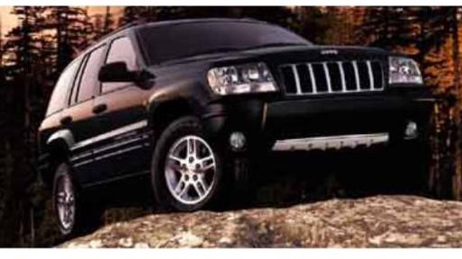 JEEP GRAND CHEROKEE 2004 1J4GW48N94C420973 image